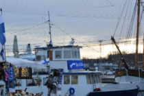 Hafen in Helsinki (Foto: Sabina Schneider)