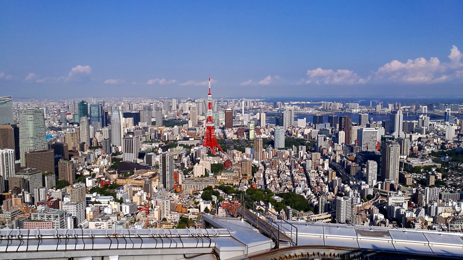 Aussicht über Tokyo (Foto: Marina Hochholzner)