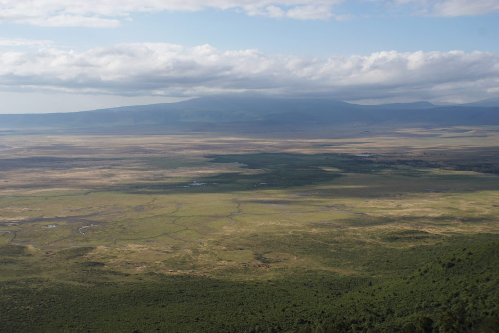 Ngorongoro Nationalpark (Foto: Sabina Schneider)