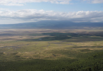 Ngorongoro Nationalpark (Foto: Sabina Schneider)