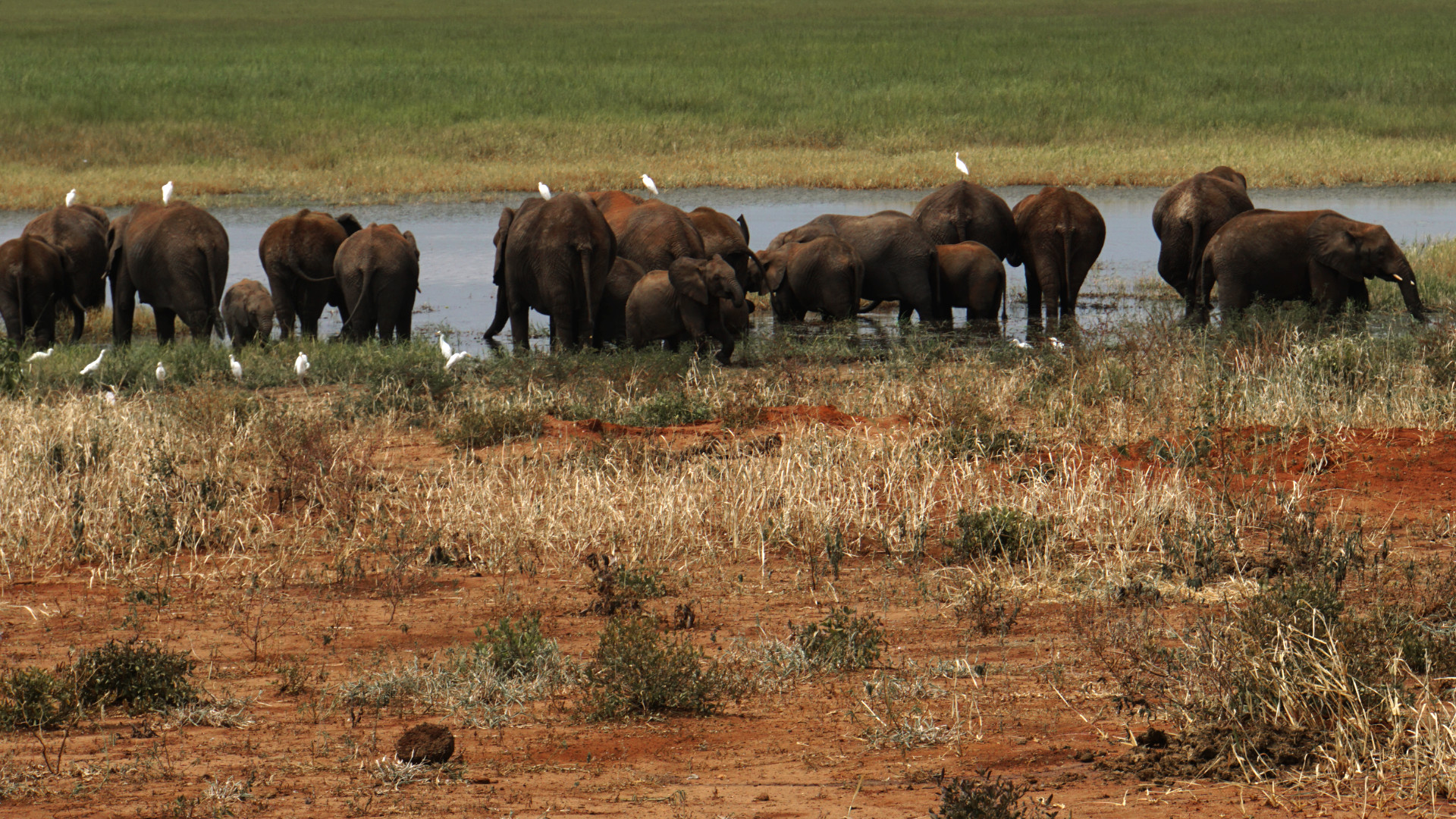 Nationalpark Afrika: Übersicht | Whale of a Time Travelblog