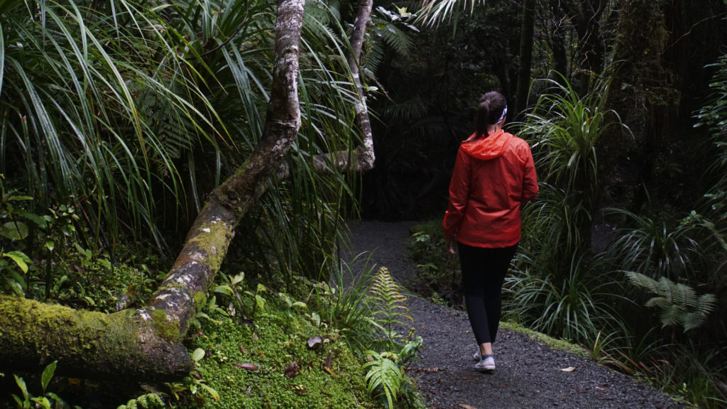 Kahikatea Swamp Forest Walk Neuseeland (Foto: Sabina Schneider)