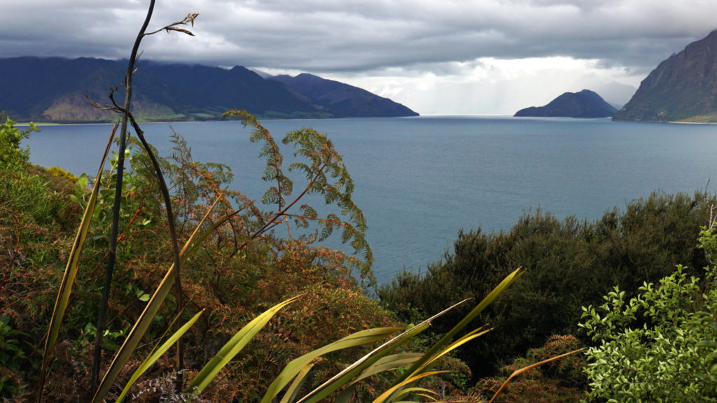 Walks an der Westküste Neuseelands (Foto: Sabina Schneider)